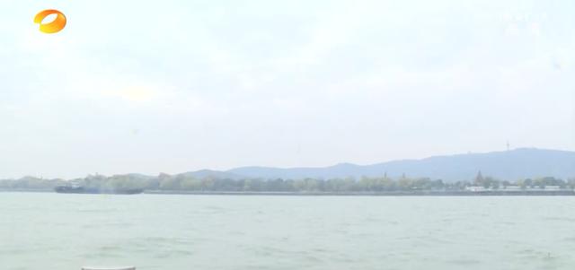 湖南|湖南最新明确！这类行为，将全面禁止！严重可追究刑事责任