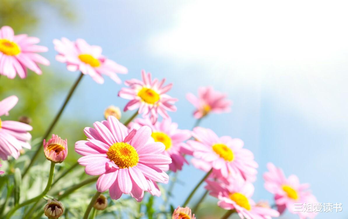 三姐爱读书|有时候，闭嘴也是一种善良