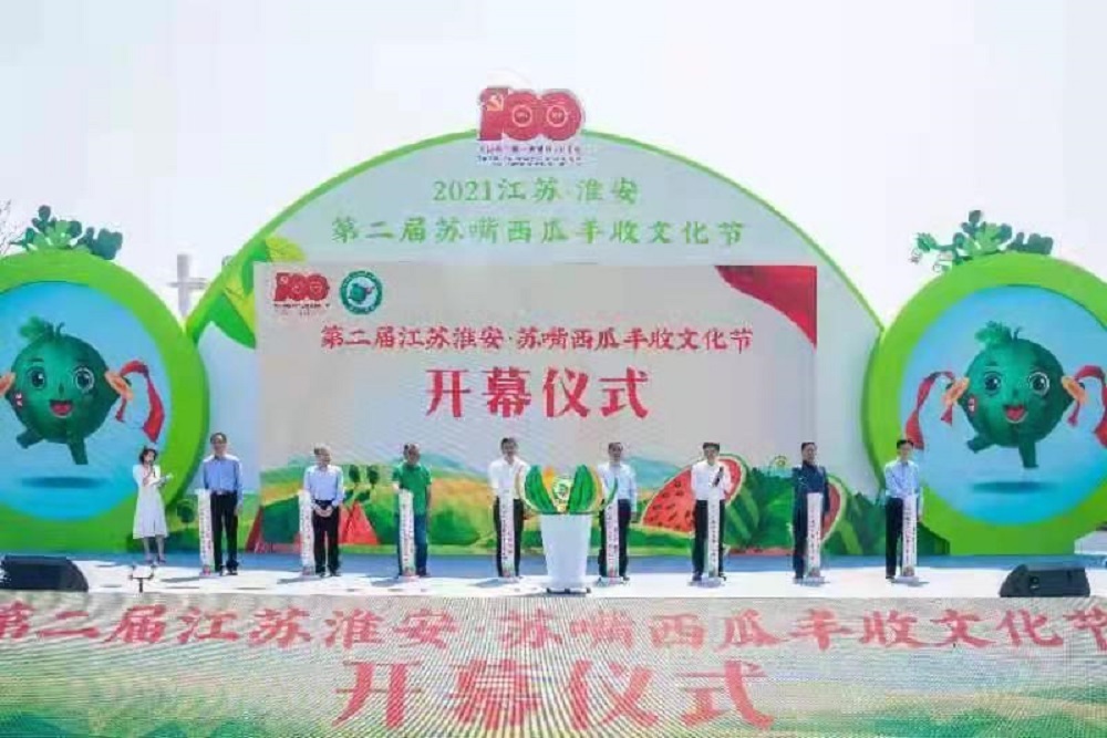 新华红 产业兴农,淮安苏嘴镇蹚出乡村振兴新路子