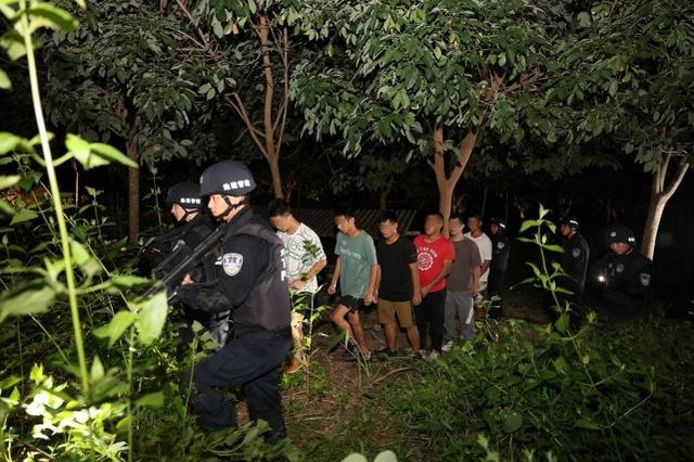 网约车公司参与，被迫人体藏毒……重特大案件侦破过程披露
