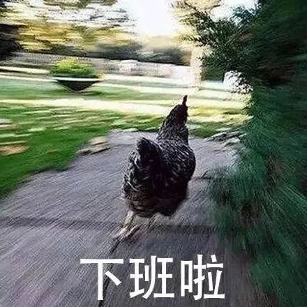 姑娘每天准点走人,结果领导不高兴了!怎么下班都这么早?