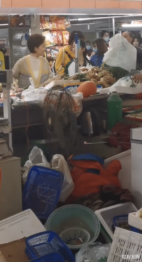 |63岁刘莉莉买菜被围观，打扮朴实行动缓慢，晚年生活曝光节俭心酸