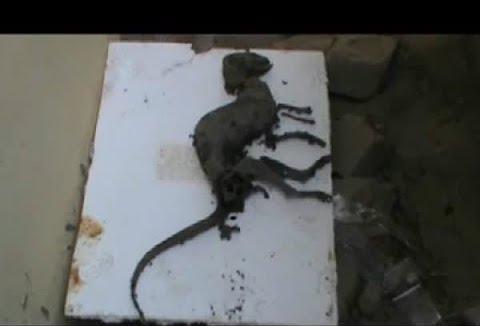 印度发现被烧焦的“恐龙”？骨头上还有肉，如今下落成谜