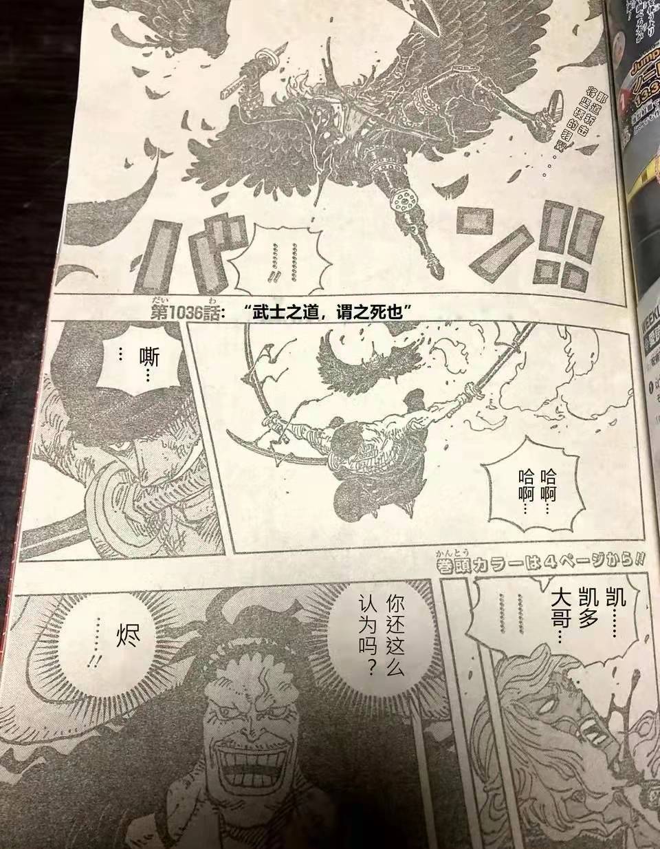 索隆|海贼王1036话：凯多是乔伊波伊？地狱之王索隆！