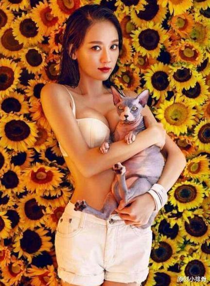 原创小排骨 陈乔恩与喜剧演员结婚?网友们纷纷送上祝福:以后可以随便吃麻花了