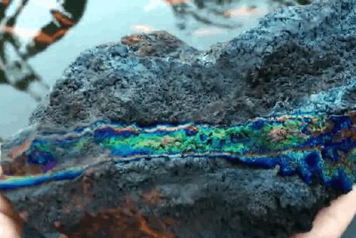 舜网 疯狂的石头!男子山上挖到“七彩石”,富豪出价百万,砸开内部后瞬间倒吸一口凉气