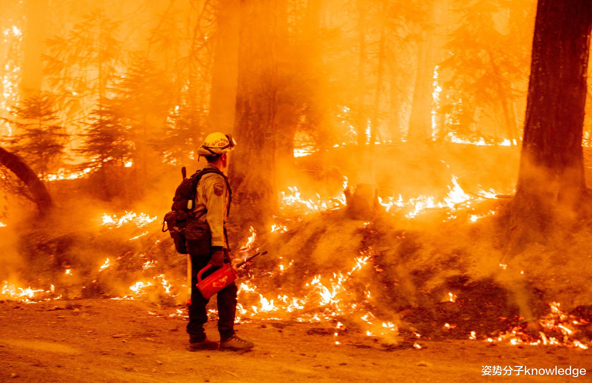 科学家 每天80亿吨冰融解！格陵兰岛反映地球环境危机，14000科学家警告