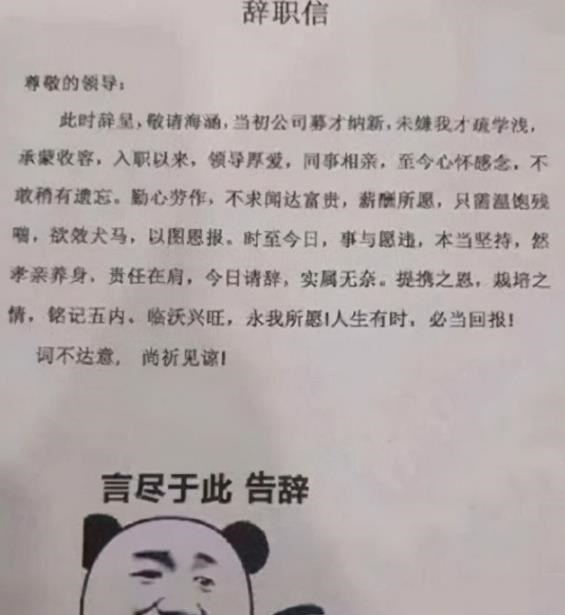 雪落无尘谈|00后毕业生真有个性，辞职信让老板哭笑不得，90后表示望尘莫及