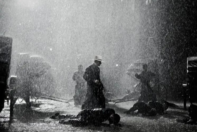 王家卫|王家卫泯然众人矣