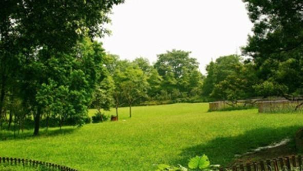 曹颖说 成都3A植物园，位于金牛区，是四川省第一所人工植物园