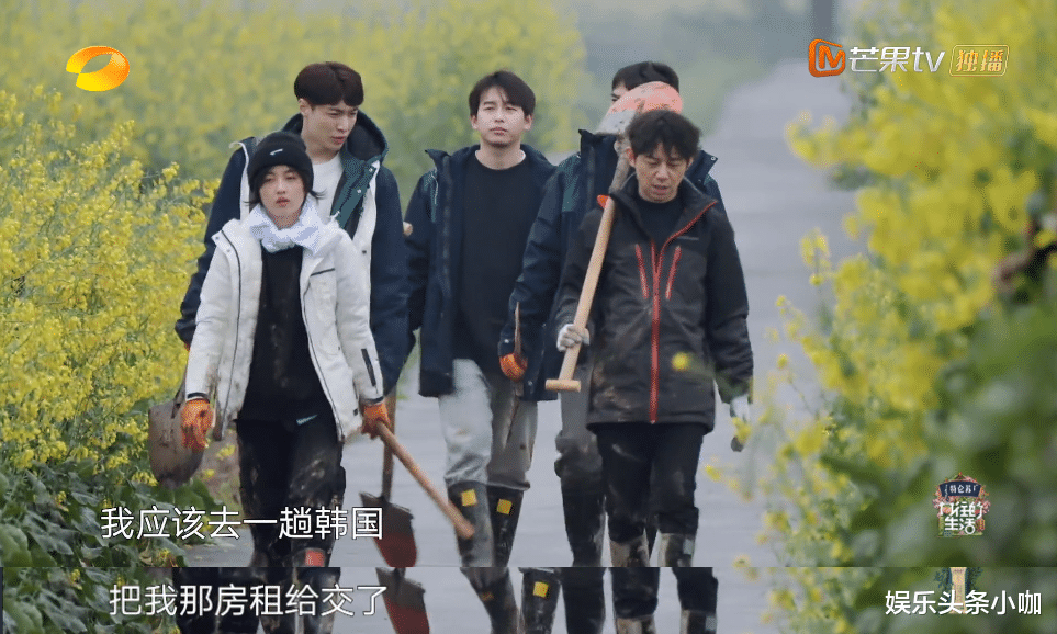 张哲瀚|藏不住了！发博秒删，他俩来真的？