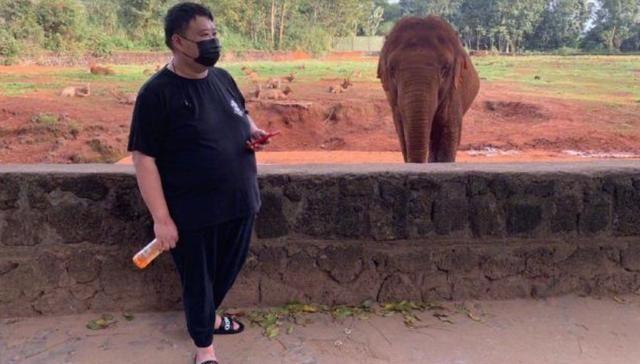 发型|孙越放弃减肥，在线求网友p图，各式各样的p图太逗了