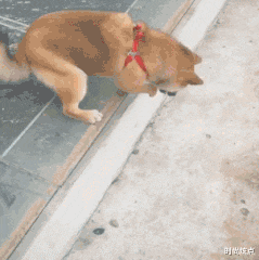 时尚炫点 “前租客留下的,在床底下发现的,会不会不干净???”