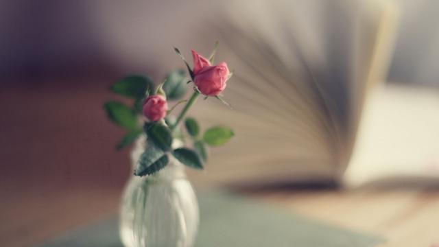 仲念念|如果你心里,藏着一个放不下的情人,请记住莫言的三句话