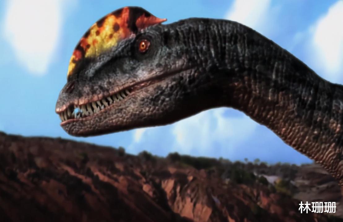 群星|动物广翅鲎：专吃海洋“浮尸”，4亿年前最先登陆地面的动物