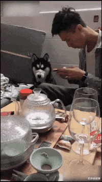 测测未来|“滴滴司机和富婆的聊天记录曝光！”贫穷限制了我的想象～哈哈哈哈