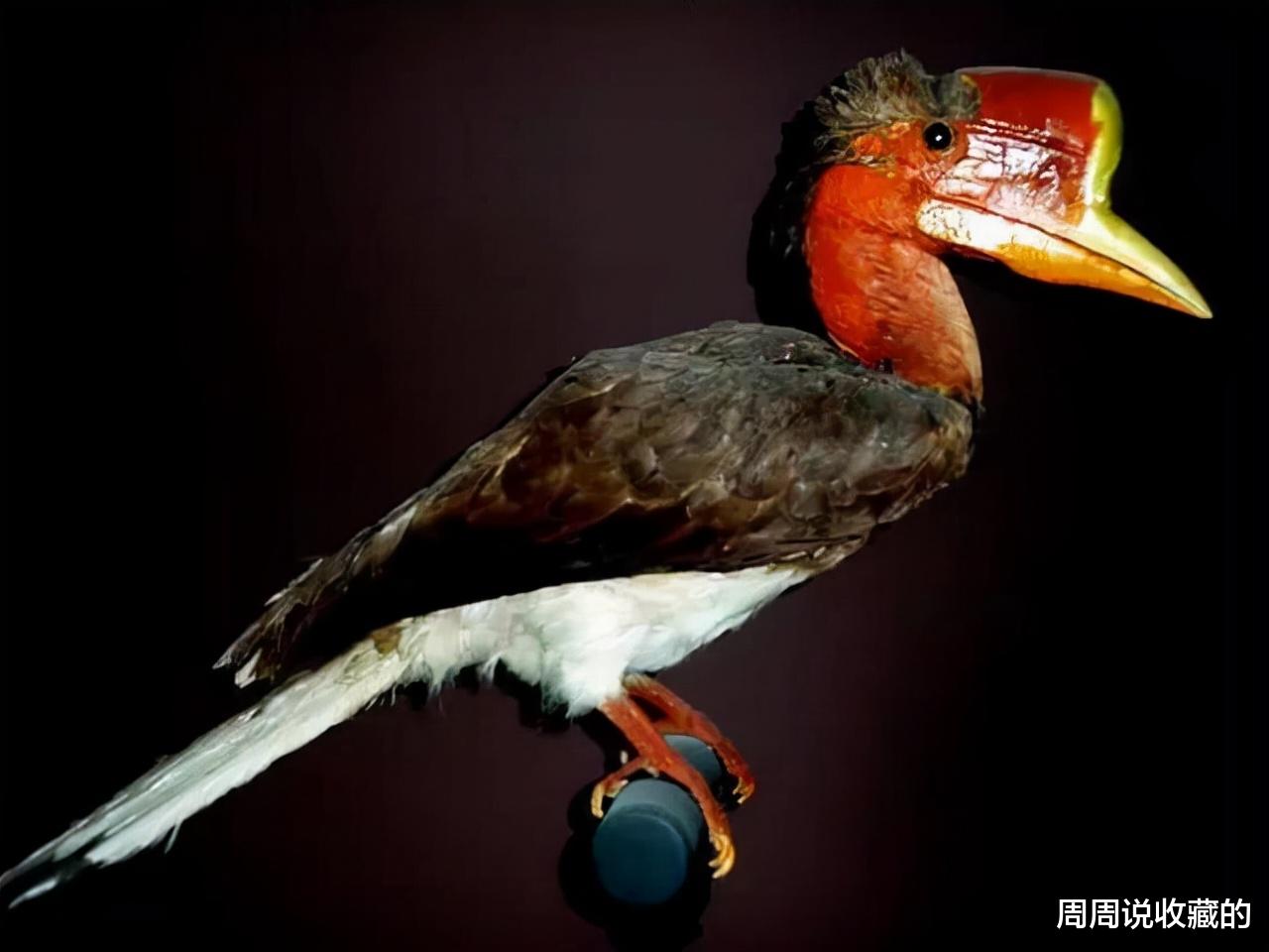 文玩|文玩圈里有些东西不能碰