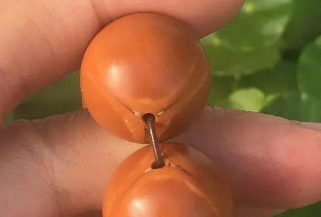 绿松石|开眼界了!原来文玩和人一样也有“三高”!