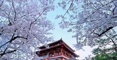 缘来妈咪|三国时期非常繁华的十座城市,你知道是如今的哪几个城市吗