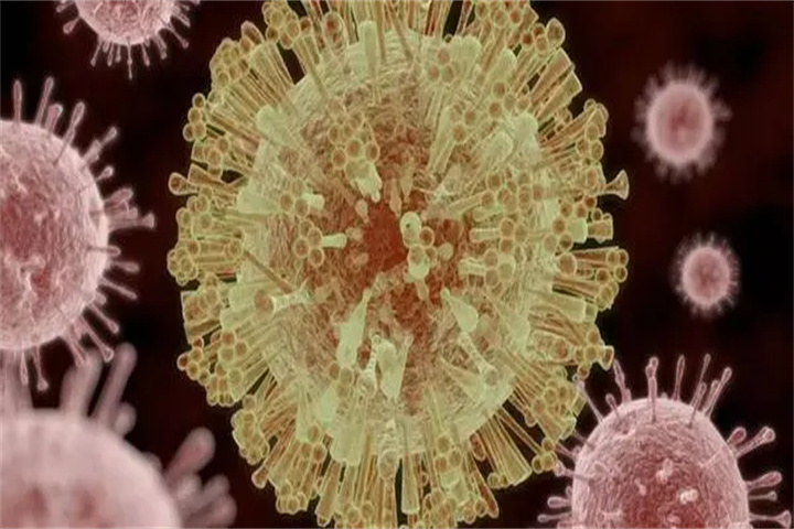 抗体 新冠病毒克星找到了？中国科学院公布重大成果，14亿人可以放心了