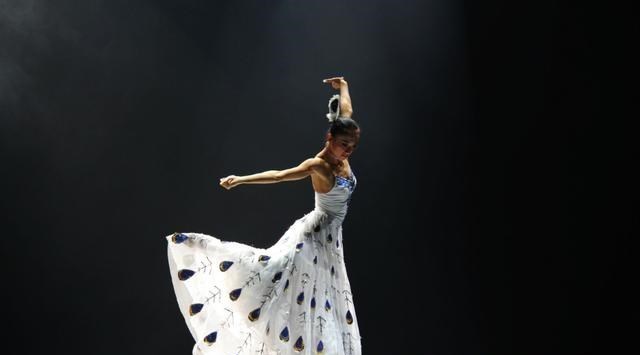 张雨绮|杨丽萍3000万“月亮宫”终被查封，外表鲜亮，里面却很“肮脏”