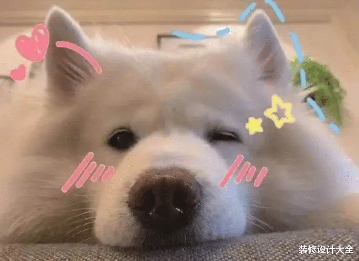 我承认，我被地台种草了，现在只想立马复制回家！