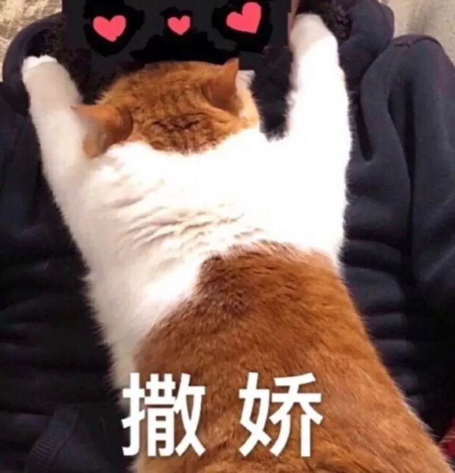 蓝鲸情感|撒娇是需要技巧的，女生怎么撒娇才能更完美？