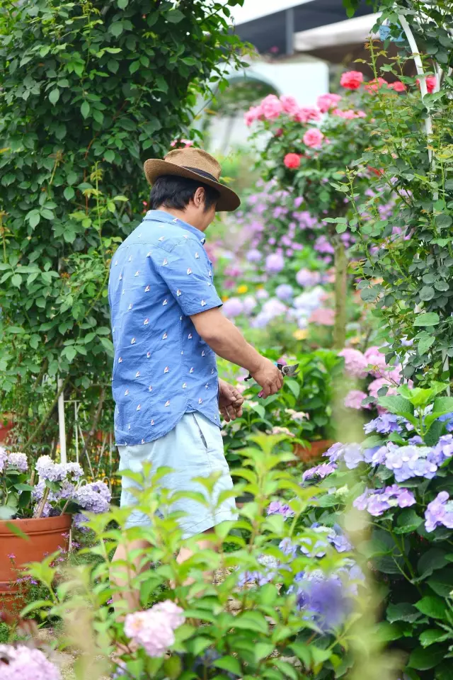 他建了座2亩的鲜花小院,满足你对花园的所有幻想!