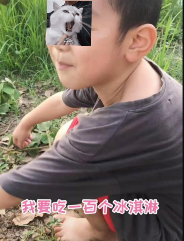 兜妈爱叨叨|只因被妈妈阻挠玩手机，6岁男孩扬言吃100个冰淇淋，结局逗笑网友