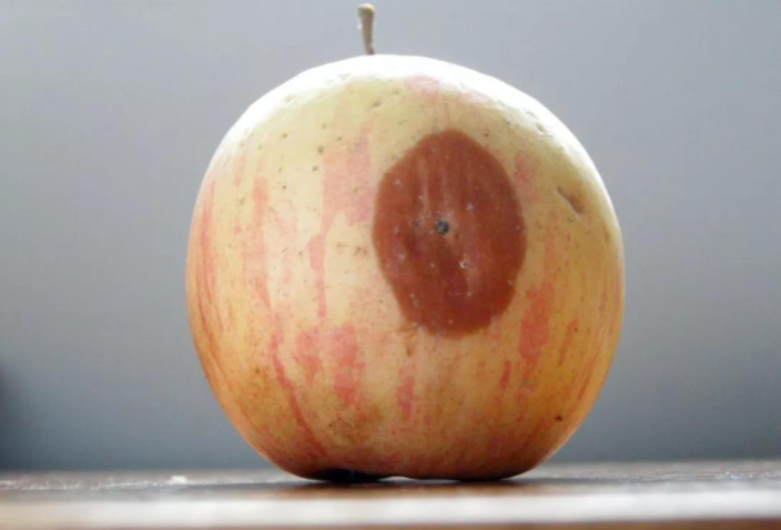 医生|夫妻二人双双体重骤降，肝癌离世，医生：煮粥天天放“它”，铁打的肝也扛不住