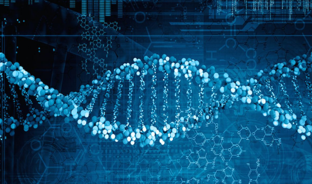 隔离 各人种之间为何不存在生殖隔离？黑种人、白种人、黄种人发展史