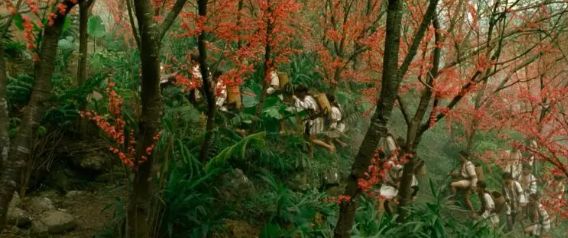 台湾|为上映狂删130分钟，但这片依然震撼无比