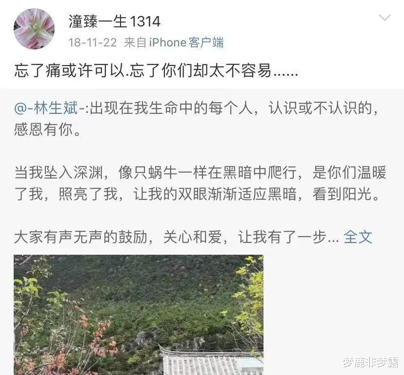 梦鹿非梦露|朱小贞小姑子微博被扒，她的“苦心”，终于被揭开