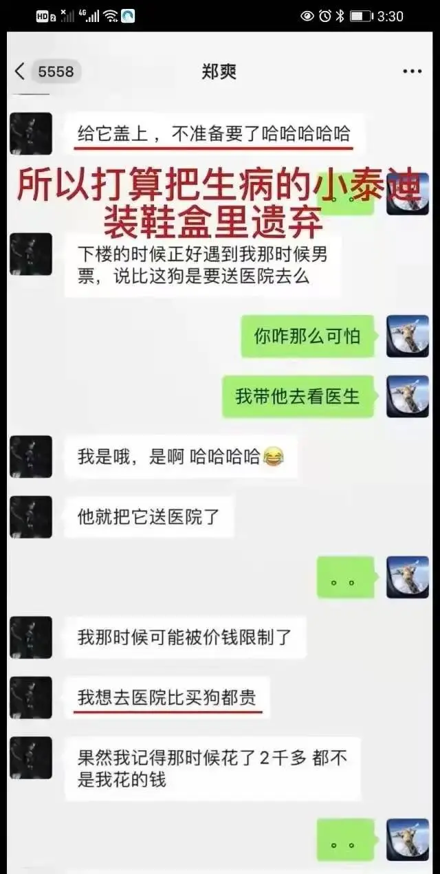郑爽|郑爽这一次可能真的要坐牢了！