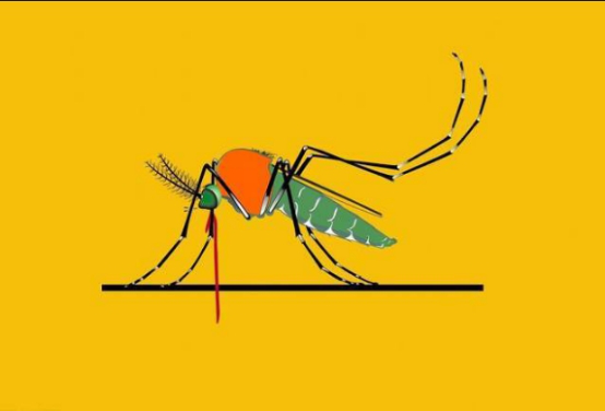 美國再出瘋狂計劃！培育瞭10億隻超強蚊子，將全部投放到世界-圖2