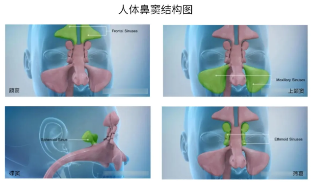 耳鼻喉申医生 喷嚏不停，鼻涕不止，不只是鼻炎发作，小心问题更棘手！