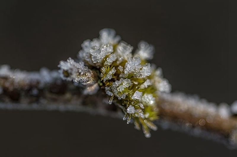 门窗100 秋冬季节，门窗选择与保养问题可要注意了！