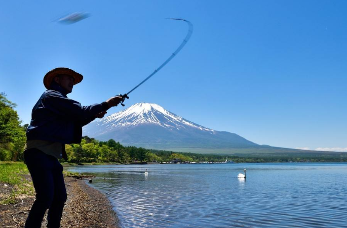 蜱虫|夏天钓鲤鱼三大类原则，爆不爆护就看这些了！——盛世三渔