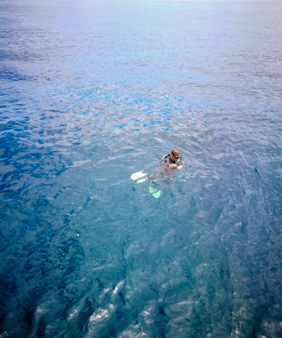 浮潜|夏威夷与戛纳相结合的东方投影---越南岘港深度游记(中)