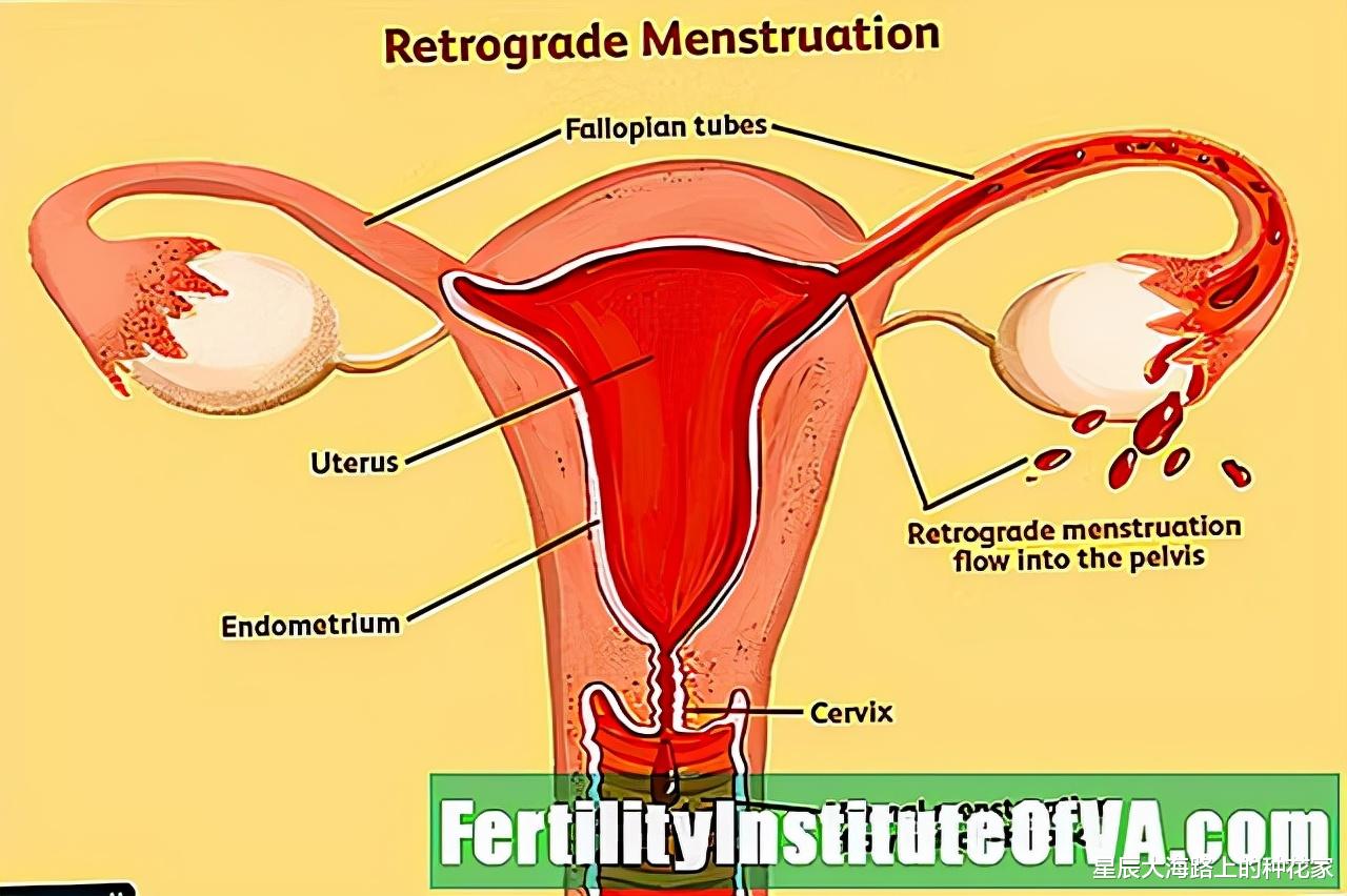 达·芬奇 中国办法是什么?神13号女航天员6个月生理期:NASA建议吃避孕药