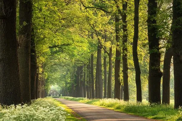 三伏天|三伏天，五大忌，千万别落下病根！