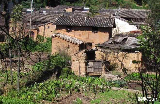 慢半拍sir 母亲60岁大寿，10年未联系的亲叔送来一万块寿礼，背后原因不简单