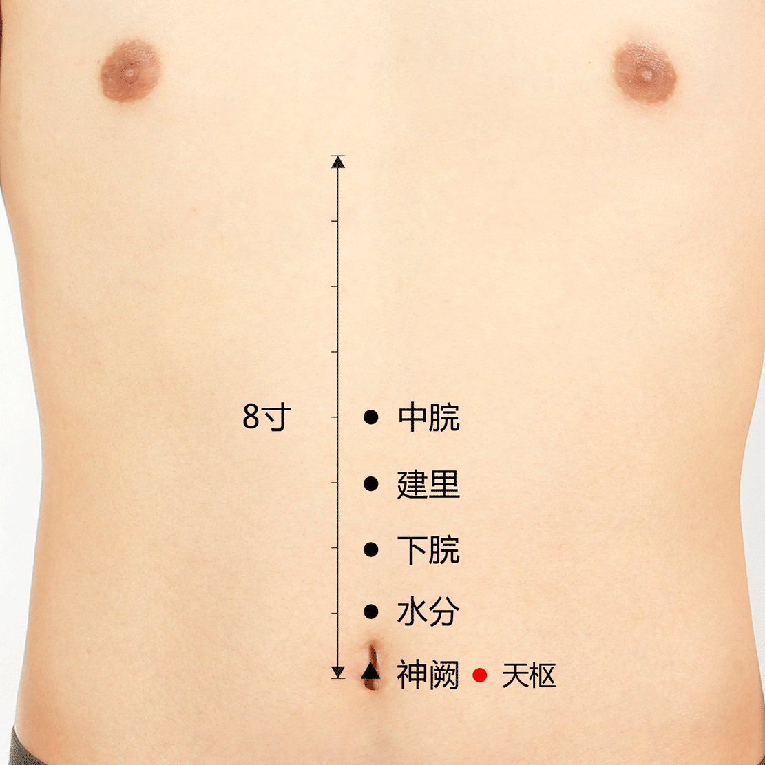 穴位|体内的湿气，是如何一步步变成脂肪的？赶紧灸这几个穴位！