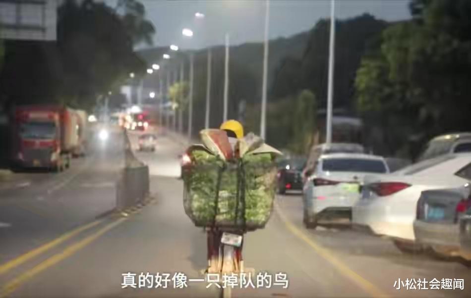 深圳市|他在深圳卖菜四十多年，眼睁睁看着房价飙涨，“后悔没早点买房”