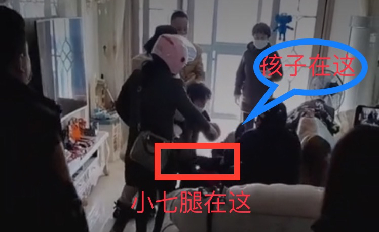 许敏|许敏朋友小七晒视频，她没有踢，是熊母亲手推倒了小外孙