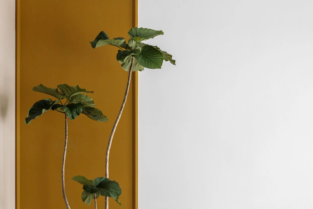 混搭|绝美反差感!90m2混搭风,让她家颜值提升了好几个level