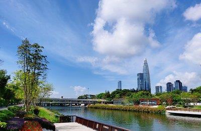 杨幸幸聊奇闻|北京游客到深圳“太难熬”,直言3大习惯接受不了,当地人:矫情