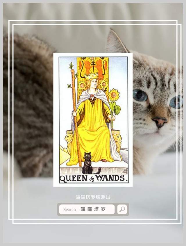 喵喵的塔罗|喵喵塔罗牌测试，你的哪一个特质最吸引人
