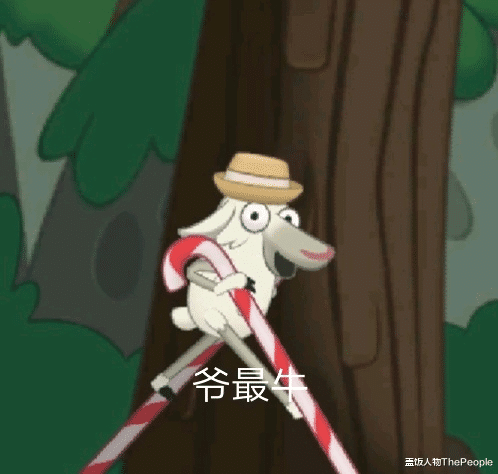 鞠婧祎|轻则受冻、重则进医院，为了走红毯，明星们都“卷”成啥样了？