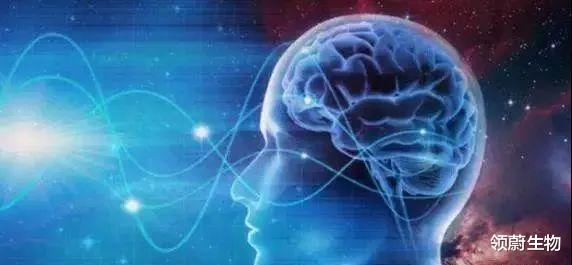  干细胞有望成为神经系统疾病的新一代疗法